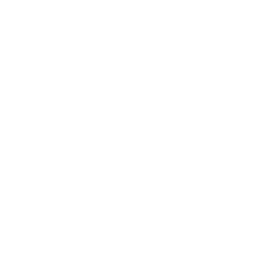 الزینو
